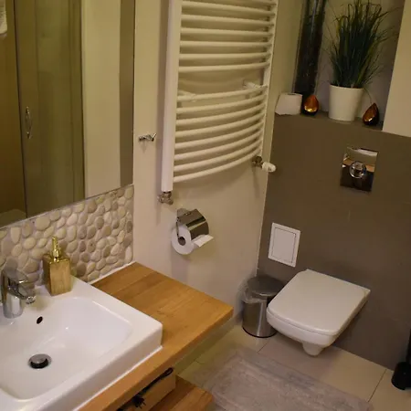Zacisze Górskie Apartament *